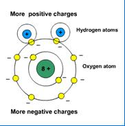Fluorine is on the far right and also at the top so it has the strongest electron attraction and is the most reactive nonmetal. In diatomic molecules, the electrons are shared equally.