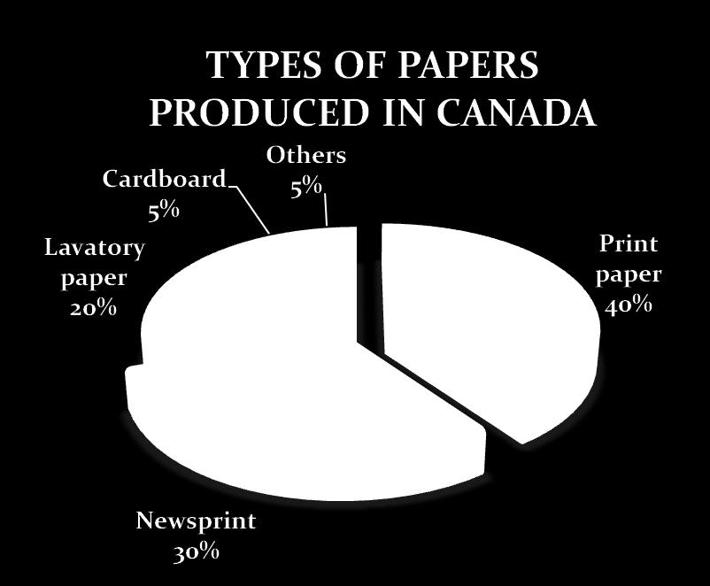 «Pâtes et papiers : moins de papier, plus de technologie», mapresse.