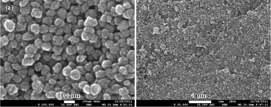 Page 4 of 9 Figure 1 SEM image of silicalite nanocrystals. the pure PFA composite membrane and 10% Sil-PFA, 20% Sil-PFA and 30% Sil-PFA composite membranes.