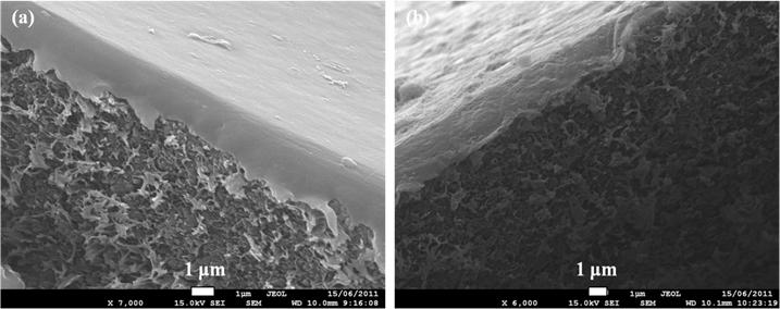 Page 6 of 9 Figure 3 TGA curves of silicalite nanocrystals, polysulfone substrate and PFA, and silicalite-pfa composite