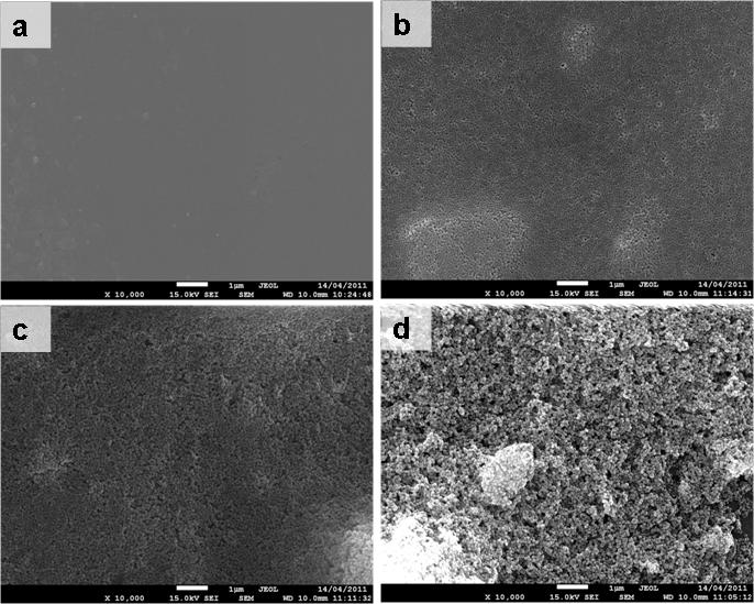 Page 7 of 9 Figure 5 SEM images. (a) PFA, (b) 10% Sil-PFA, (c) 20% Sil-PFA, and (d) 30% Sil-PFA composite membranes.