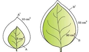 4 CHAPTER 15 PLANT GROWTH AND DEVELOPMENT https://biologyaipmt.