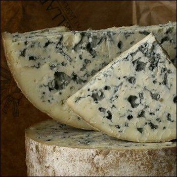 (Camembert, Brie, Danish Blue Cheese and Gorgonzola Many are also plant pathogens https://cdn.