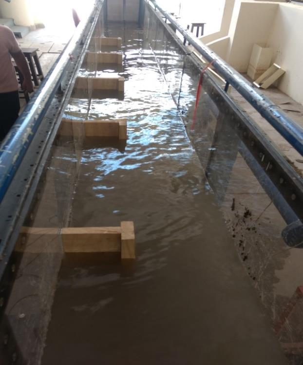 Fig.3 Flow around T-shaped groynes (TG) V. EXPERIMENTAL SETUP All the experiments were conducted in the hydraulics laboratory of Delhi Technological University. A tiltable flume 8m long,0.