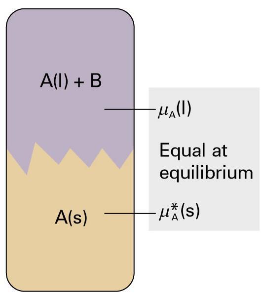 Consider a heterogeneous equilibrium between pure solid solvent (s) and the solvent (l) in solution at atm.