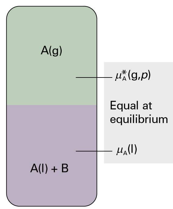 Consider a heterogeneous equilibrium between the solvent vapor (g) and the solvent (l) in solution at atm.