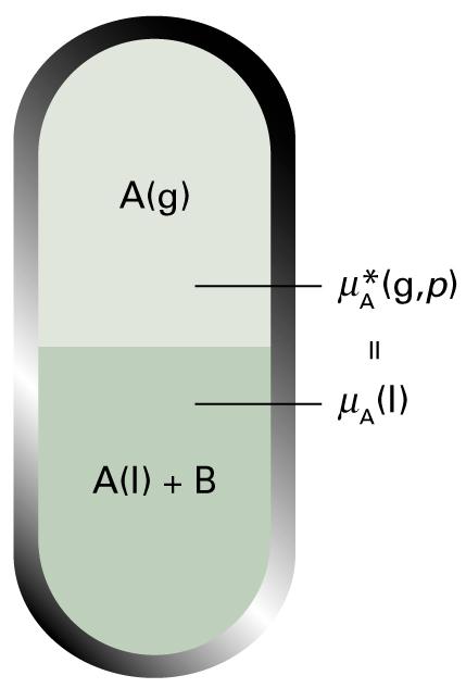 5.5 Colligative properties (b) The elevation of boiling point The heterogeneous equilibrium is between the solvent vapor and the solvent in solution at 1 atm µ A g ( ) = µ A l ( ) + RT ln