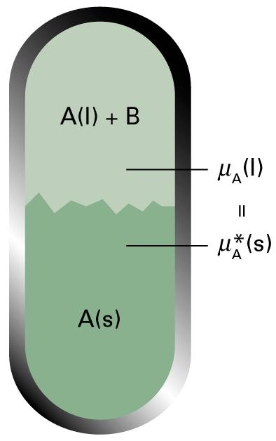 5.5 Colligative properties (c) The depression of freezing point The heterogeneous equilibrium is between the pure solid solvent A and the solution with solute present at x B µ A s ( ) = µ A l ( ) +