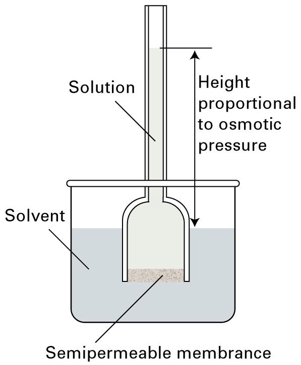 solvent Dialysis and Osmometry The chemical potential of the solvent must be the same on each side of the membrane van t Hoff