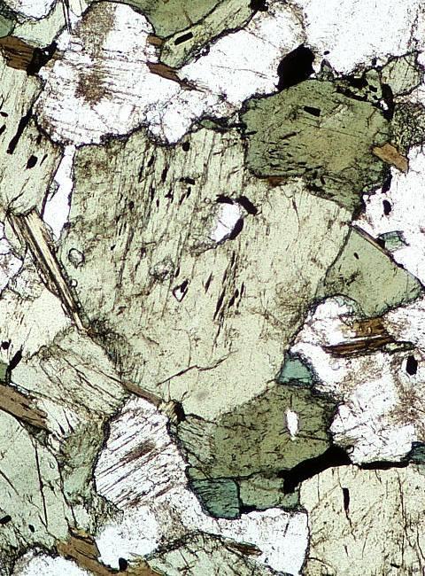 A: Plane-polarized Light (PPL) 1) Colour: Most minerals are colourless under PPL, but some minerals are intensely coloured. As a general rule, dark coloured minerals in hand specimen (e.g., pyroxene, amphibole, biotite etc.