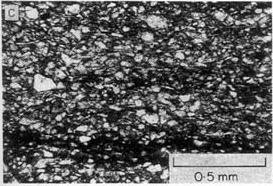 Laminated mudstone Laminated mudstone shows subangular silt-grade quartz, muscovite flakes oriented