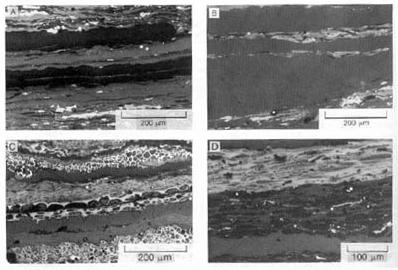 Photomicrographs of bituminous coal The pictures show vaious macerals. Liptinite Vitrinite Inertinite 1. Liptinite 2. Vitrinite 3.