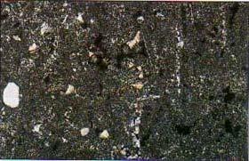 The pictures show a chert from a layer within a carbonate sequence.