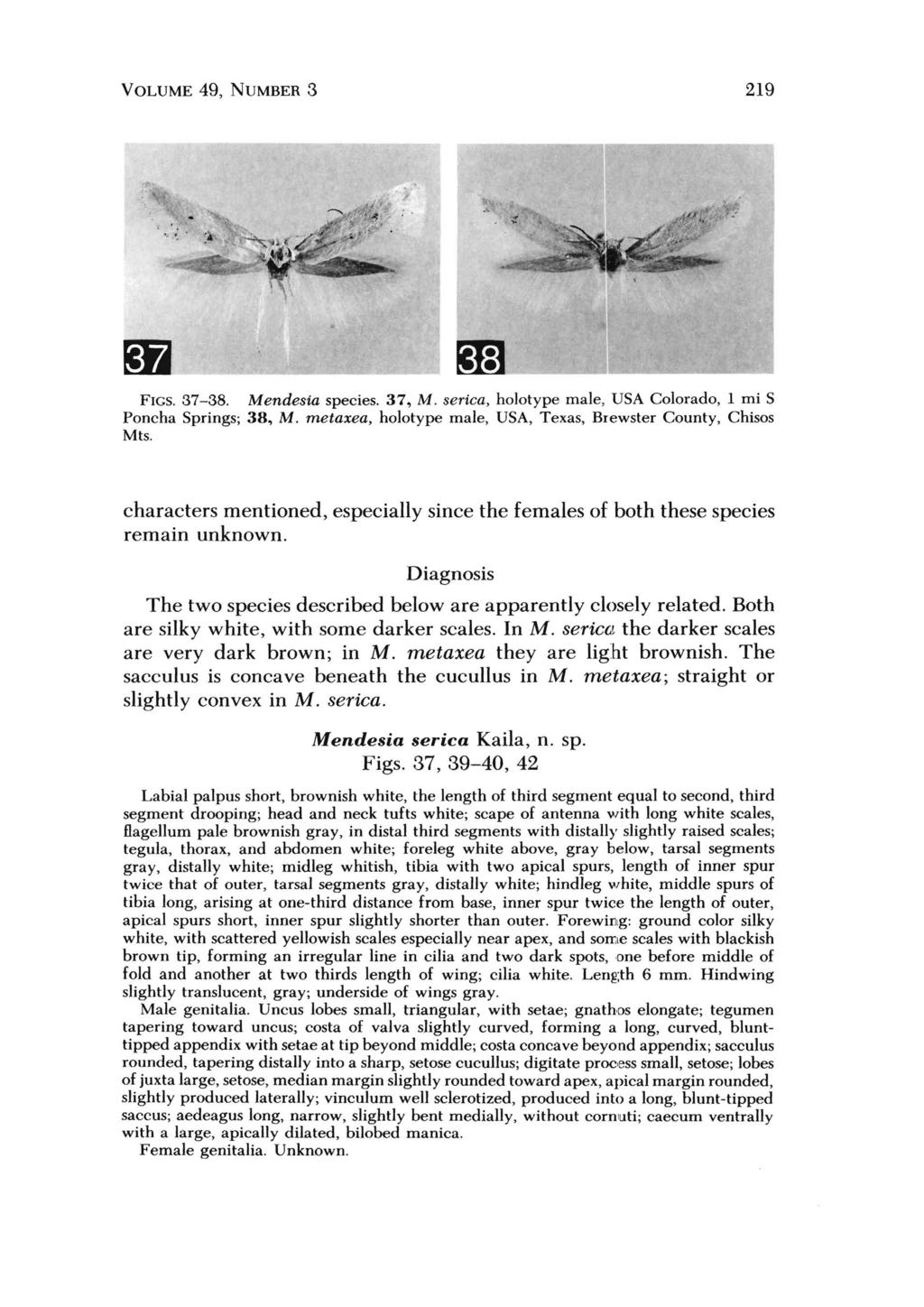 VOLUME 49, NUMBER 3 219 ~I--------~I--------------~ FIGS. 37-38. Mendesia species. 37, M. serica, holotype male, USA Colorado, 1 mi S Poncha Springs; 38, M.