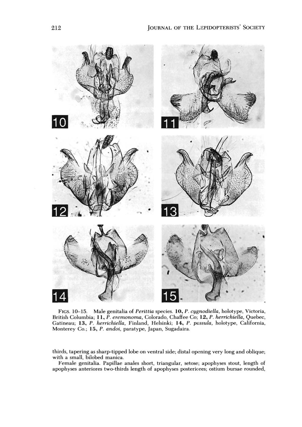 212 JOURNAL OF THE LEPIDOPTERISTS' SOCIETY L...--/...:I --c- ~- - 1m. FIGS. 10-15. Male genitalia of Perittia species. 10, P. cygnodiella, holotype, Victoria, British Columbia; 11, P.