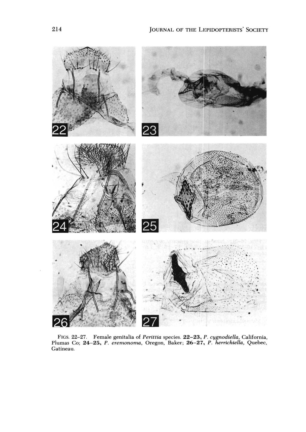 214 JOURNAL OF THE LEPIDOPTERISTS' SOCIETY... ;.,. FIGS. 22-27. Female genitalia of Perittia species. 22-23, P.