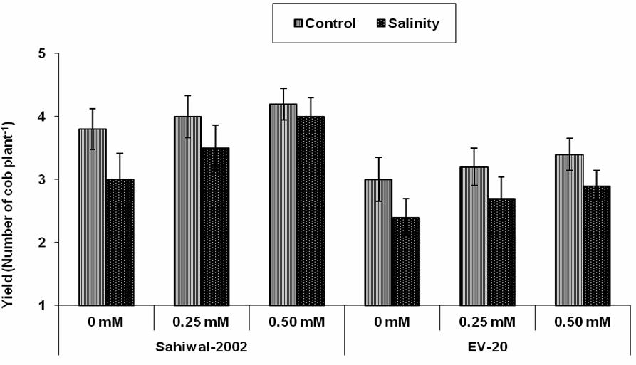 80 AASMA TUFAIL ET AL., Fig. 7. Effect of salicylic acid on sub-stomatal conductance (Ci) of two maize genotypes grown in absence and presence of salt. Fig. 8.