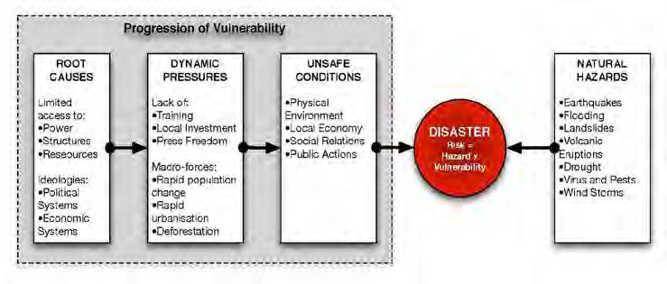 Vulnerability is how susceptible a population is to damage caused by a hazard. Capacity to cope/resilience is how well a population can recover from a disaster.