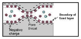 Membrane polarization Membrane polarization occurs when pore space narrows to within several boundary layer thicknesses.