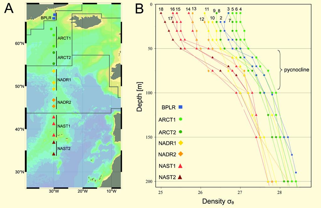 The following supplement accompanies the article Variations in pelagic bacterial communities in the North Atlantic Ocean coincide with water bodies Richard L.