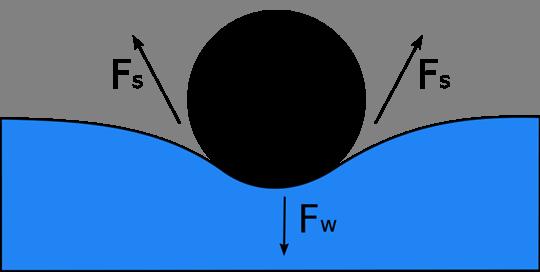 Surface Tension Against force (F ) work has to be performed to move