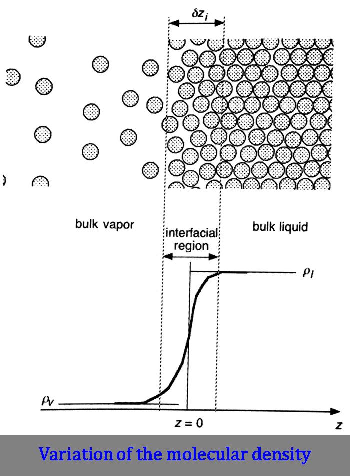 Liquid-Vapor Interface Multiphase Flow and