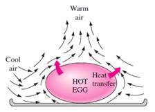 7 Natural Convection The egg is cooled by transferring heat by convection to the air and by radiation to the surrounding surfaces.