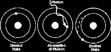 Light Energy Light is absorbed as photons Each photon carries a specific amount of