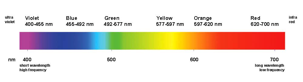 5. Using the image below showing the visible wavelengths that make up sunlight, answer the following questions (ADV_LT1) a. Which wavelengths are absorbed by the chlorophyll pigment? b. Which wavelengths are reflected by the chlorophyll pigment?