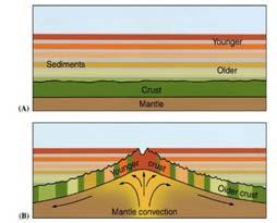 calculated Seafloor sediments support plate tectonic theory Youngest sediments resting directly on