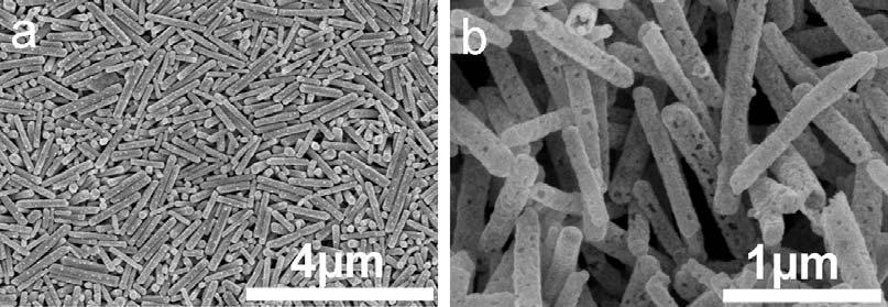 Fig. S2 SEM images of (a) Ag 2 CO 3 nanorods, and