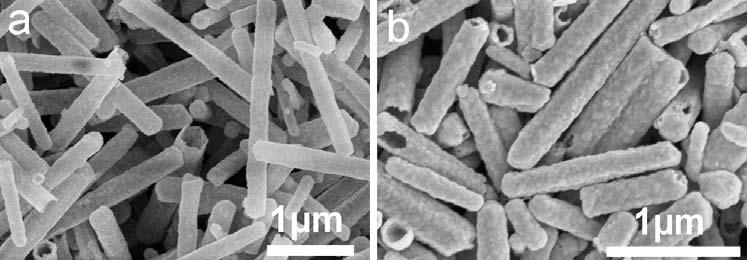 S3 SEM images of the as-obtained MS nanotubes via a