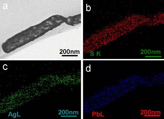 Fig. S4 (a) TEM image of one individual PbS-Ag HSNT, and the elemental mapping EDS images of S (b), Ag (c) and Pb (d).
