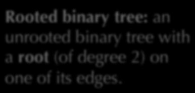 Modeling Speciations Rooted binary tree: an unrooted binary tree with a root (of degree )