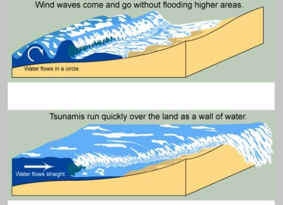 Tsunamis are NOT like wind waves Wind waves break on shore in a few seconds