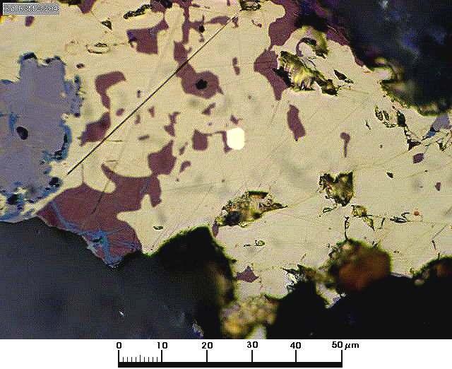 Caspiche Petrography Lz Au Bn Cp Aggregate of chalcopyrite, pyrite,