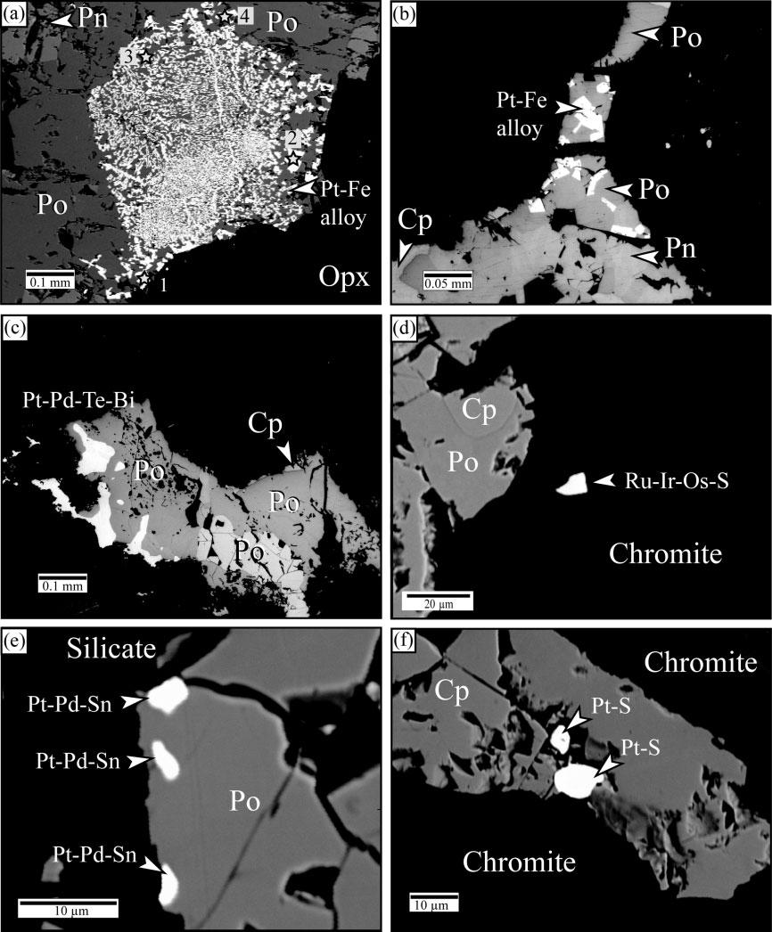 GODEL et al. PGE IN MERENSKY REEF Fig. 11. Backscattered electron images of platinum-group minerals observed in Merensky Reef samples at Rustenburg Platinum Mine.