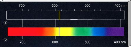 The pattern of emission (or absorption) lines is a fingerprint of the element in the gas (such as hydrogen, neon, etc.