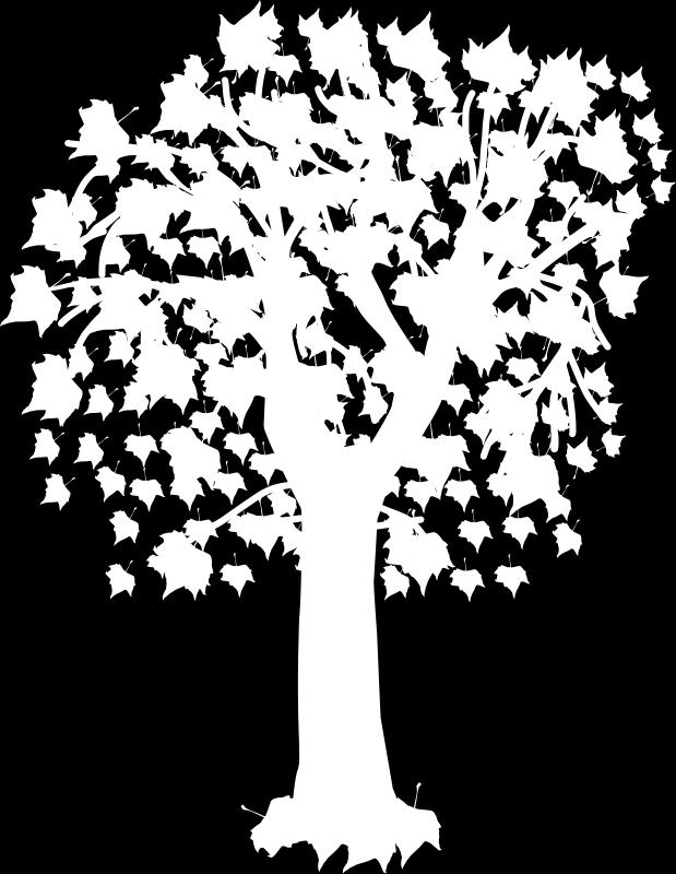Another bird on the maple tree notices that if one bird switches from the apple tree to the maple tree, there will be an equal amount of birds on both trees. How many birds are resting in each tree?