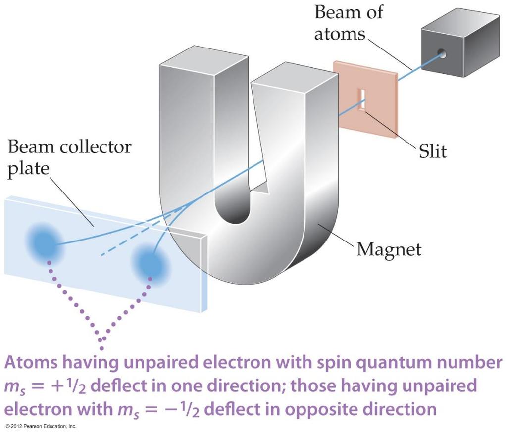 Spin Quantum Number, m s In the 1920s, it was discovered that two electrons in the same orbital do not