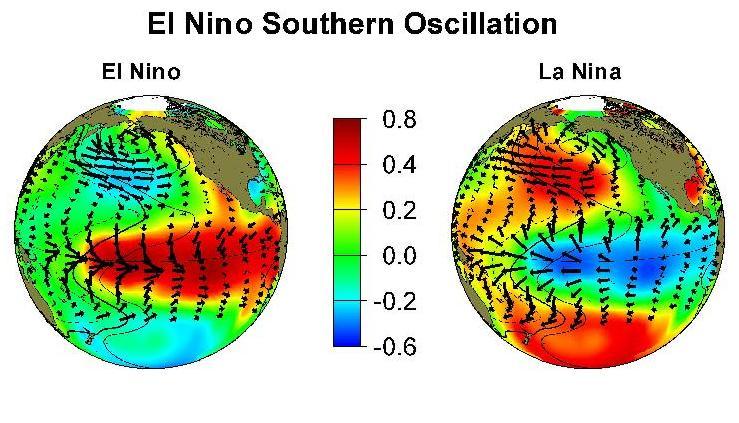 Driving forces behind climate variability El Niño Southern Oscillation (ENSO) ~ ~ cool warm warm cool