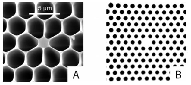 Figure 4: SEM images of microstructured fibers.