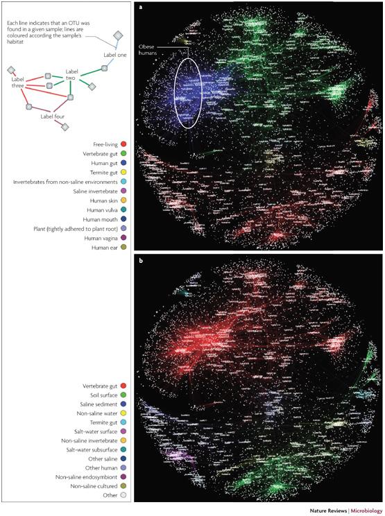 Network analysis of bacterial communities