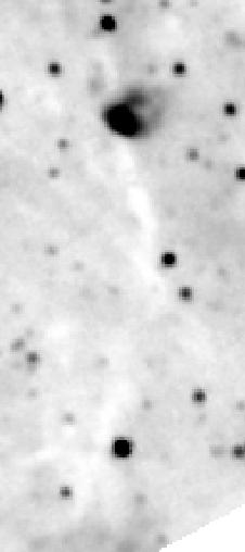 Observing these HMSCs with the Effelsberg 100 m telescope in NH 3 (Sridharan et al. in prep.
