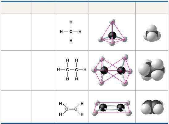 Carbon compounds Molecule Molecular Formula Structural Formula Ball-and-Stick Model Space-Filling Model Carbons can link together to form a backbone many other elements can bond to this backbone (a)