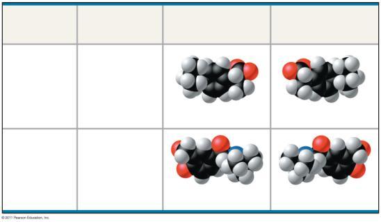 However, chemical synthesis usually produces equal amounts of the two enantiomers Enantiomers are important in the pharmaceutical industry Two enantiomers of a drug may have different effects Usually