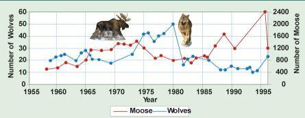 As(the(moose(population(increases(from(1960(to(1965,(the(wolf( population(also(increases.