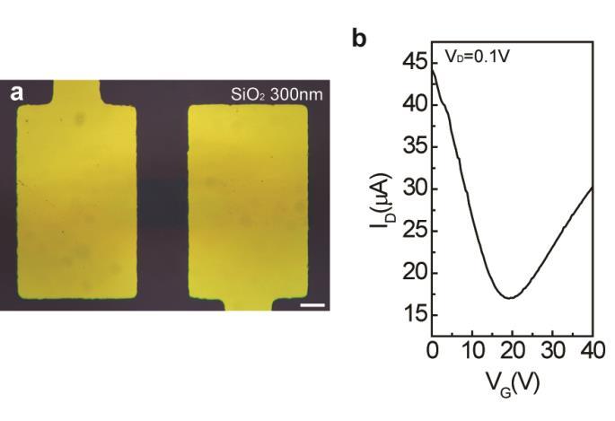 Supplementary Figure 4. The characteristics of graphene FET with SiO2 dielectrics. (a) The optical micrograph of SiO2 dielectric (300 nm) graphene FET. Scale bar, 20 μm.