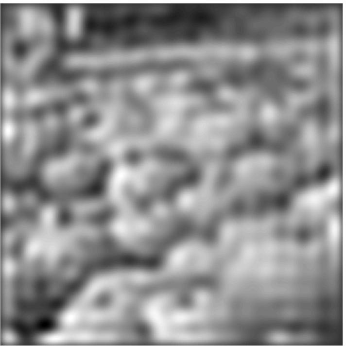 Truncation The reconstruction obtained for the blur of pumpkins by using k = 800 (instead of the full k = N = 412 412 = 169