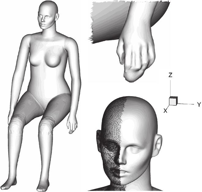 0.137 body height 1.729 surface area, m 2 Fig.4.